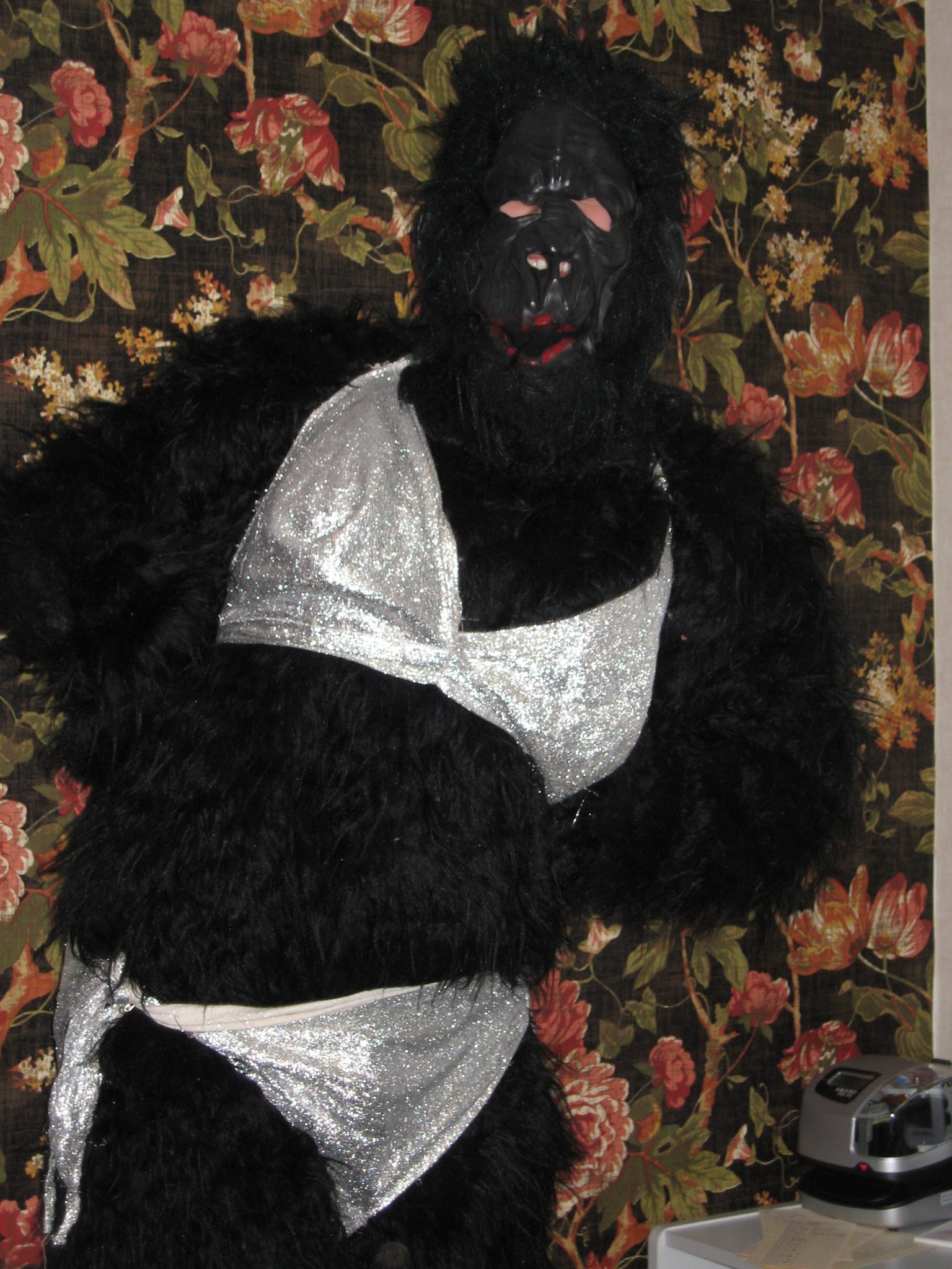 Bikini gorilla picture