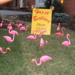 Flamingo Flocking Yard Card DSC00213