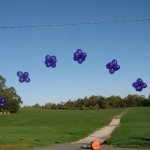 Floating Clusters Purple