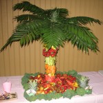 Fruit Palm TreeIMG_1406