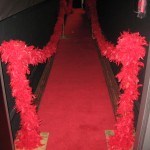 Fashion Show  Rock StarRunway Red Carpet Fashion Party (1)