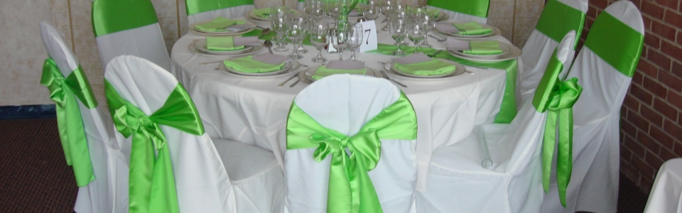 green lime satin Wedding 080207 (3)